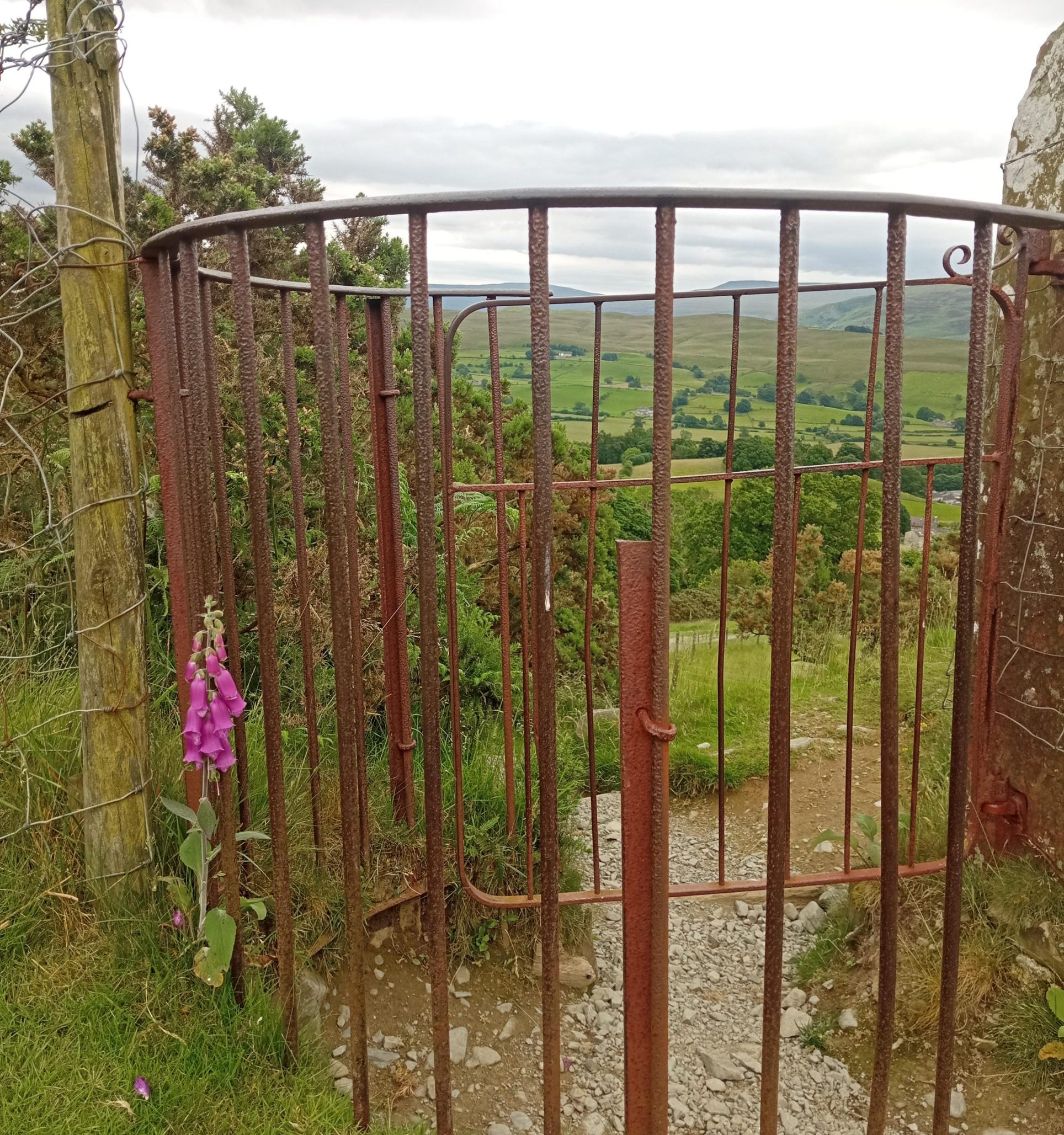 A wrought-iron stile gate opening onto green Cumbrian hills and fields, with pink foxgloves growing at its base